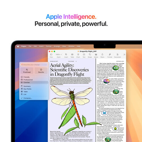 Apple 13" MacBook Air (M4, Sky Blue)