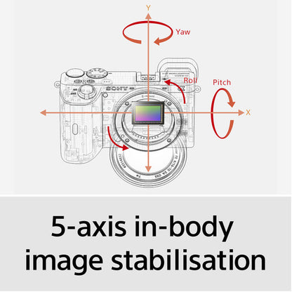 Sony a6600 Mirrorless Camera with 18-135mm f/3.5-5.6 Lens